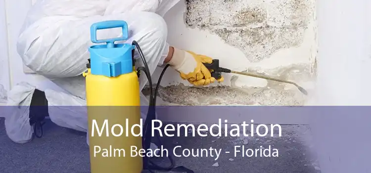 Mold Remediation Palm Beach County - Florida