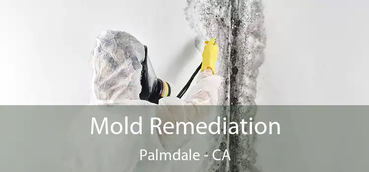 Mold Remediation Palmdale - CA