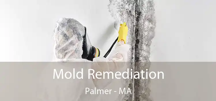 Mold Remediation Palmer - MA