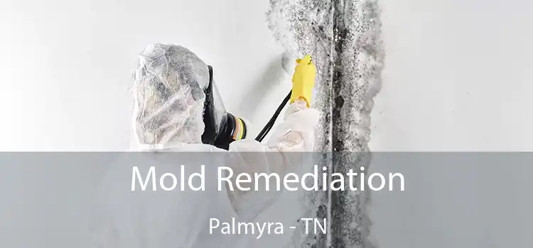 Mold Remediation Palmyra - TN