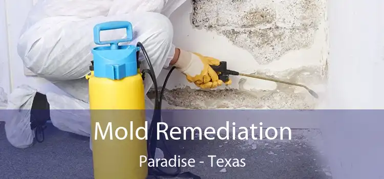 Mold Remediation Paradise - Texas