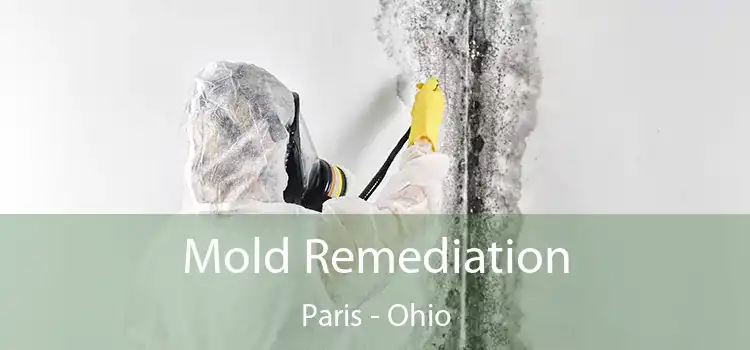 Mold Remediation Paris - Ohio