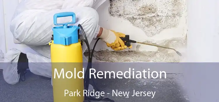 Mold Remediation Park Ridge - New Jersey