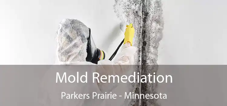 Mold Remediation Parkers Prairie - Minnesota