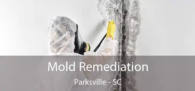 Mold Remediation Parksville - SC