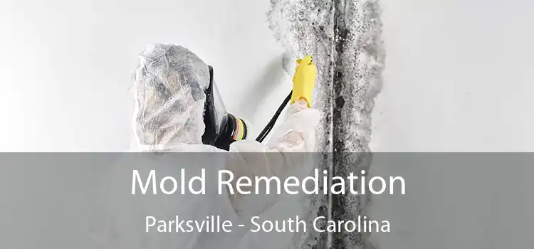 Mold Remediation Parksville - South Carolina