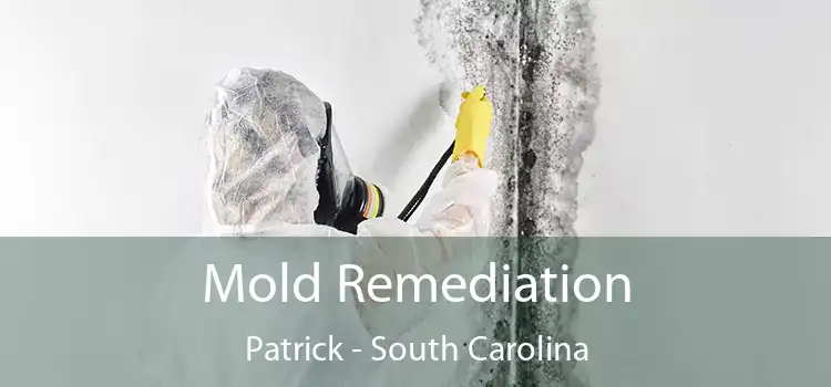 Mold Remediation Patrick - South Carolina