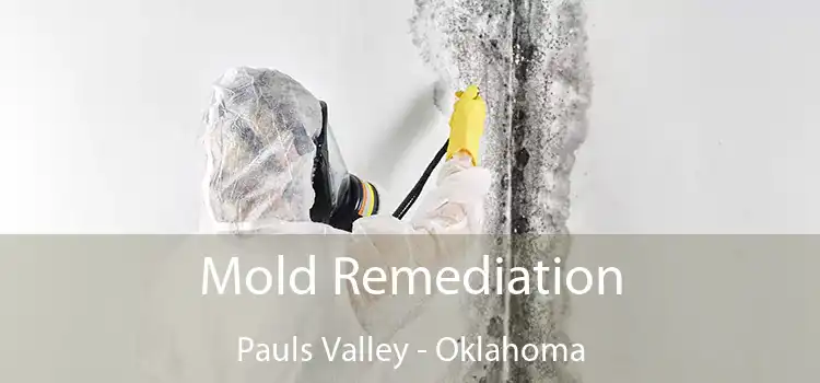 Mold Remediation Pauls Valley - Oklahoma