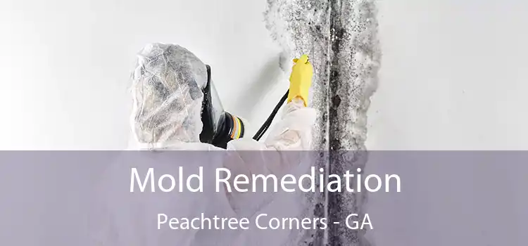 Mold Remediation Peachtree Corners - GA