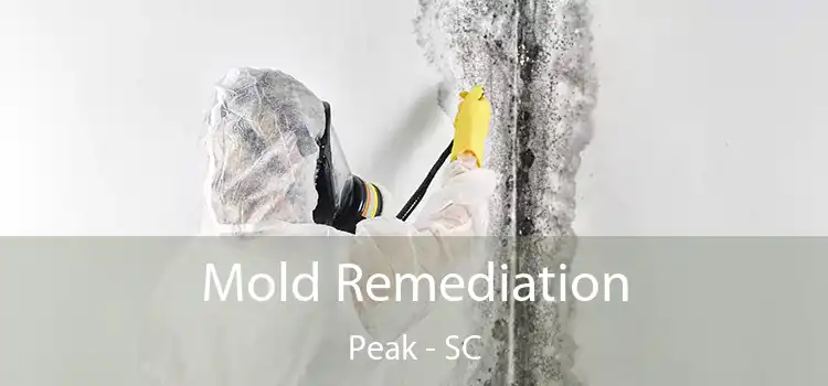 Mold Remediation Peak - SC