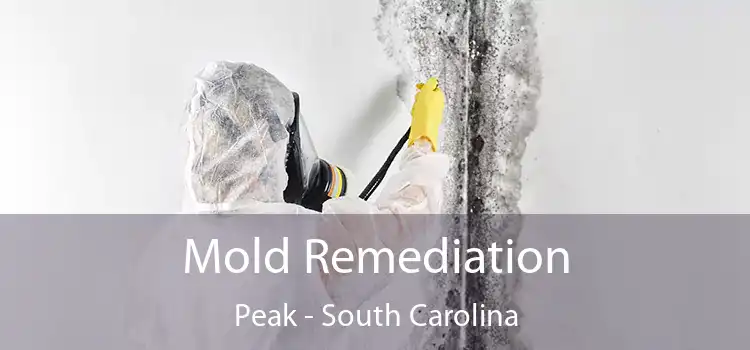 Mold Remediation Peak - South Carolina