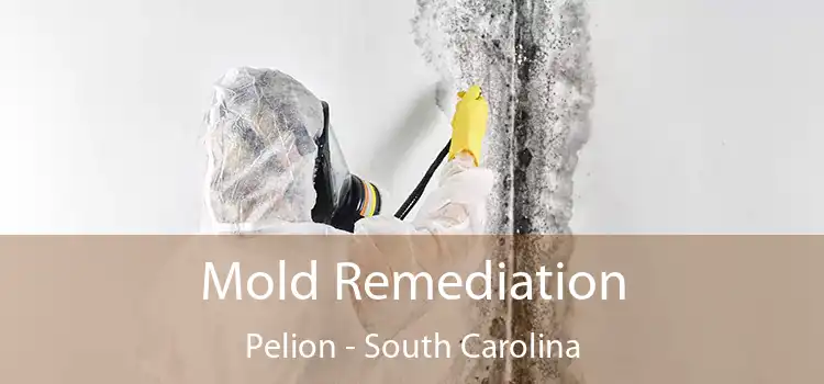 Mold Remediation Pelion - South Carolina