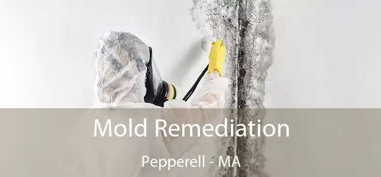 Mold Remediation Pepperell - MA