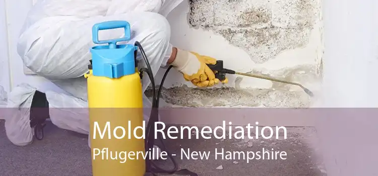 Mold Remediation Pflugerville - New Hampshire