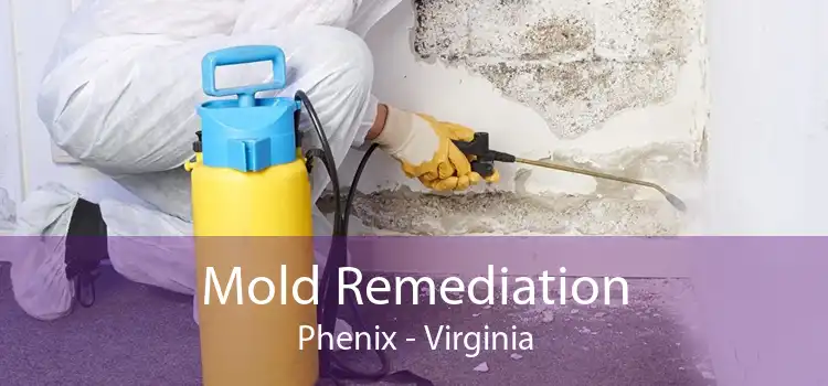 Mold Remediation Phenix - Virginia