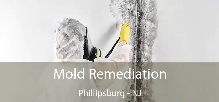 Mold Remediation Phillipsburg - NJ