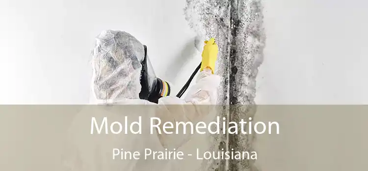 Mold Remediation Pine Prairie - Louisiana