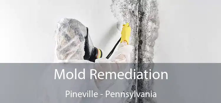 Mold Remediation Pineville - Pennsylvania