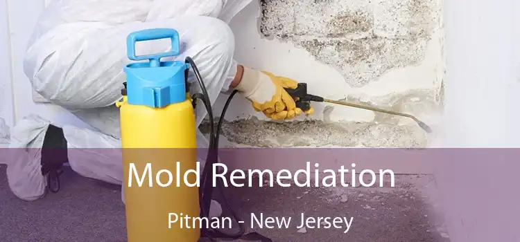 Mold Remediation Pitman - New Jersey