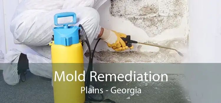 Mold Remediation Plains - Georgia