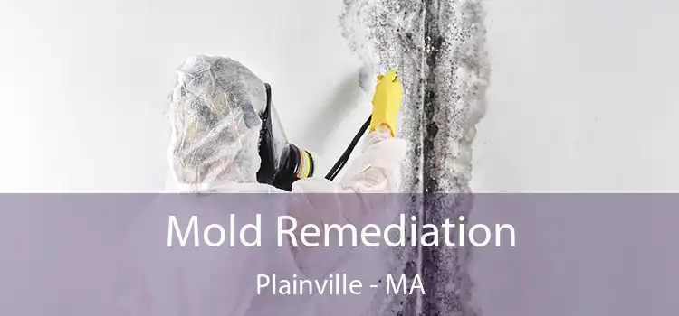 Mold Remediation Plainville - MA