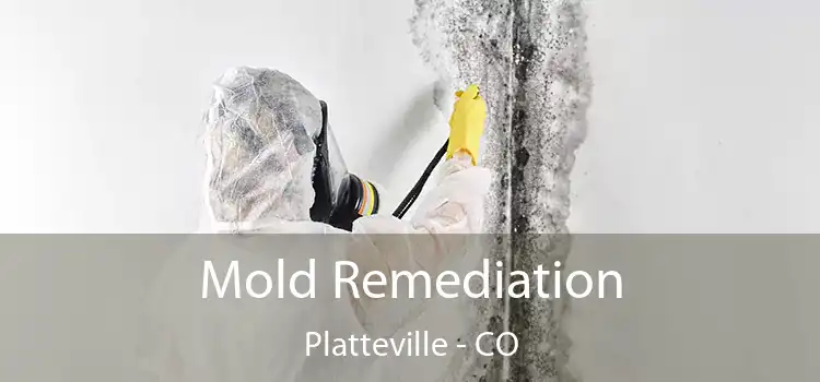 Mold Remediation Platteville - CO