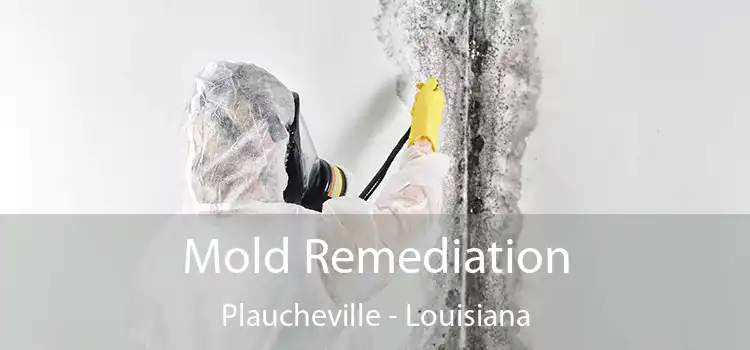 Mold Remediation Plaucheville - Louisiana