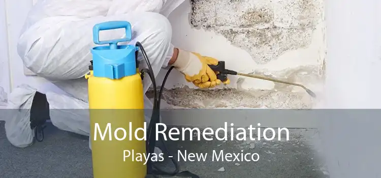 Mold Remediation Playas - New Mexico