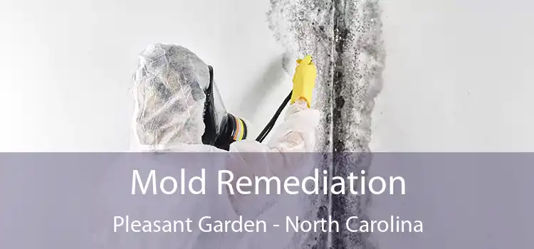 Mold Remediation Pleasant Garden - North Carolina