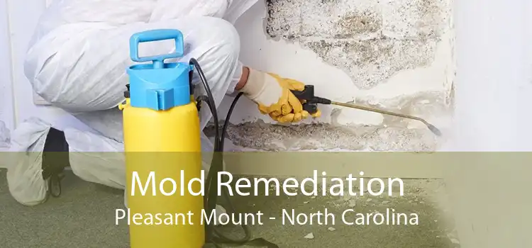 Mold Remediation Pleasant Mount - North Carolina