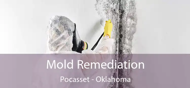 Mold Remediation Pocasset - Oklahoma