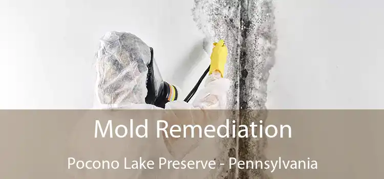 Mold Remediation Pocono Lake Preserve - Pennsylvania