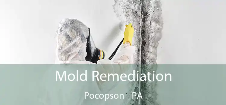 Mold Remediation Pocopson - PA