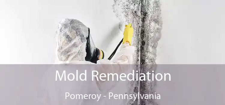 Mold Remediation Pomeroy - Pennsylvania