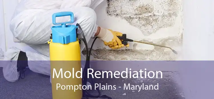 Mold Remediation Pompton Plains - Maryland