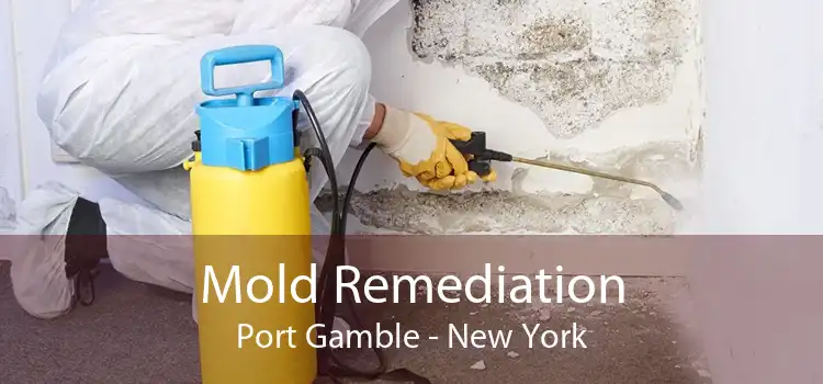 Mold Remediation Port Gamble - New York