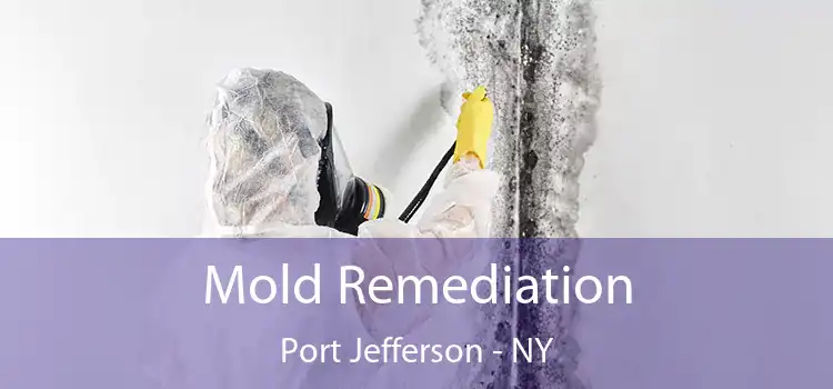 Mold Remediation Port Jefferson - NY