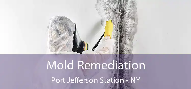 Mold Remediation Port Jefferson Station - NY