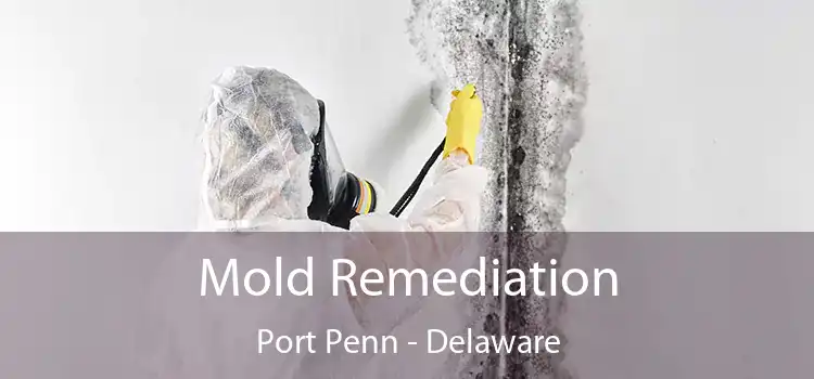 Mold Remediation Port Penn - Delaware