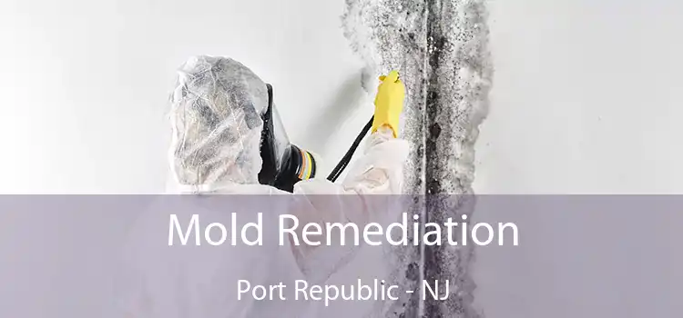 Mold Remediation Port Republic - NJ