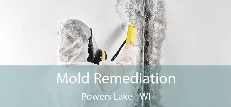 Mold Remediation Powers Lake - WI