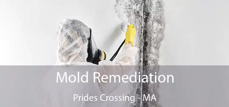 Mold Remediation Prides Crossing - MA