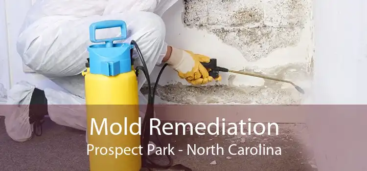 Mold Remediation Prospect Park - North Carolina
