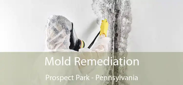 Mold Remediation Prospect Park - Pennsylvania