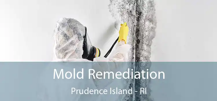 Mold Remediation Prudence Island - RI