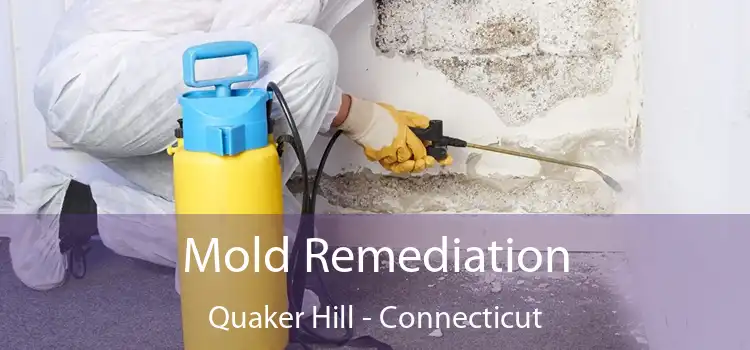 Mold Remediation Quaker Hill - Connecticut