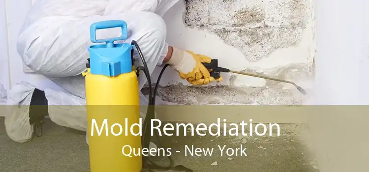 Mold Remediation Queens - New York