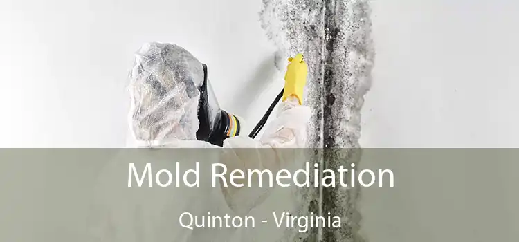 Mold Remediation Quinton - Virginia