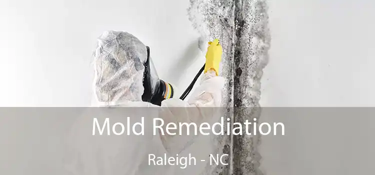 Mold Remediation Raleigh - NC