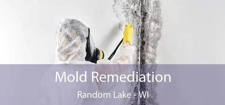 Mold Remediation Random Lake - WI